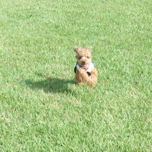 Meet your Posher, EIKO